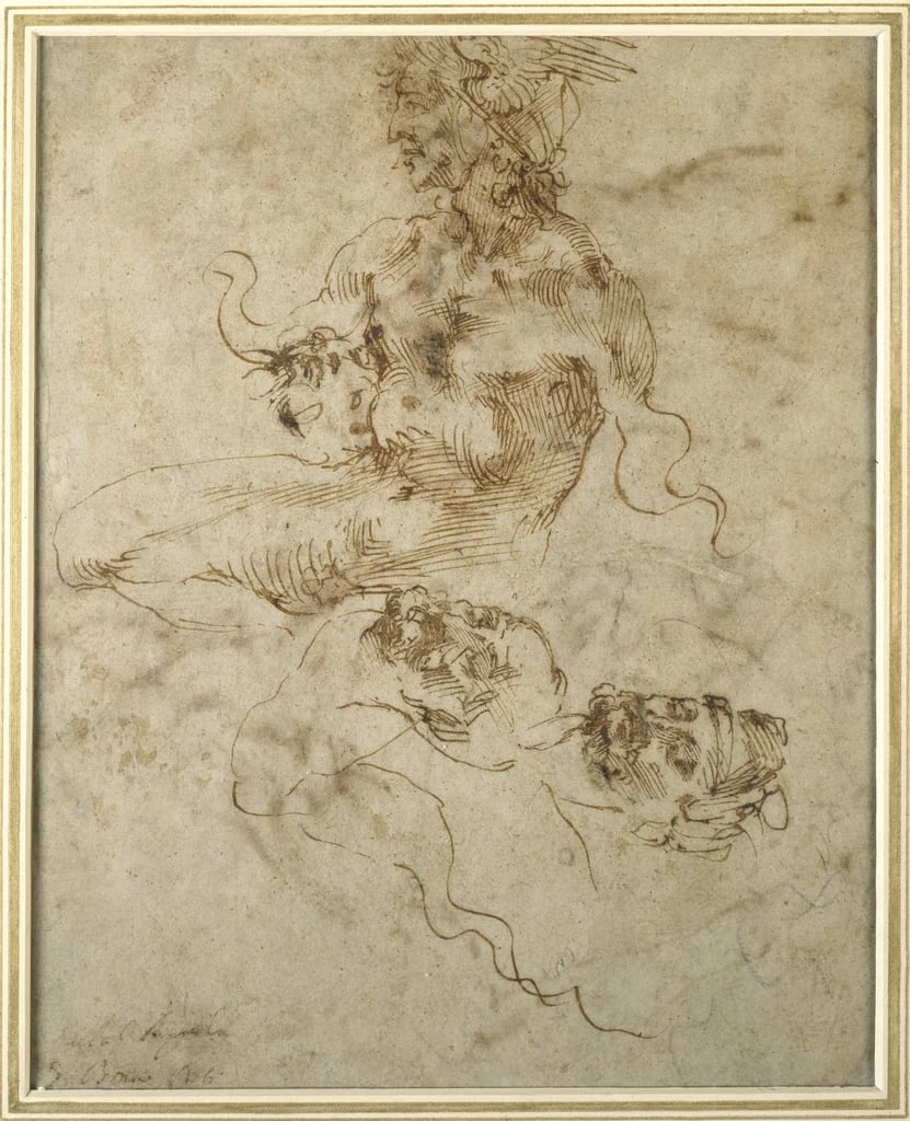 Studio di un giovane seduto - Ashmolean Museum, University of Oxford